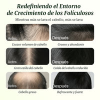 Batana Oil Shampoo | Cuidado y regeneración capilar