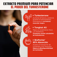 Suplemento de Turkesterona Old School - Potenciador de testosterona - 120 cps