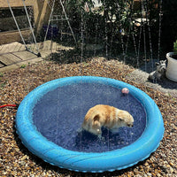 Piscina Plegable Para Perros Con Aspersor 💦🐶