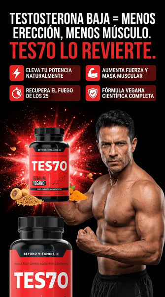 Testo