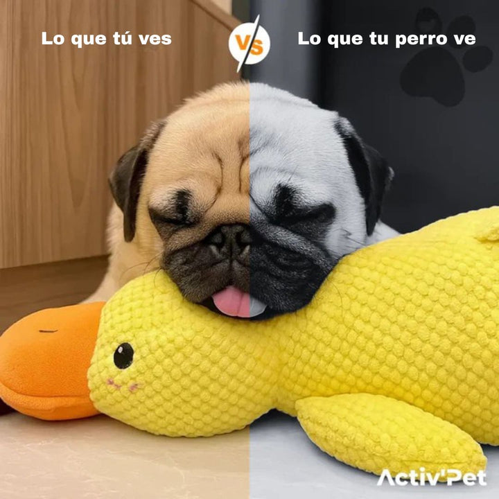 Peluche pato idestrutible para mascotas