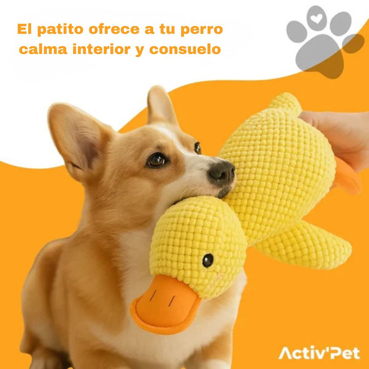Peluche pato idestrutible para mascotas