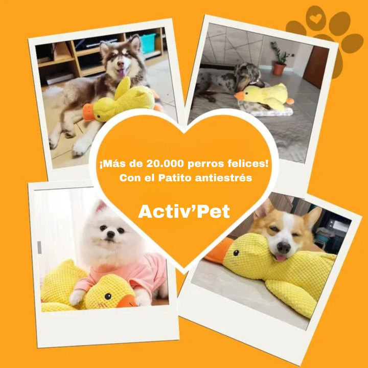 Peluche pato idestrutible para mascotas