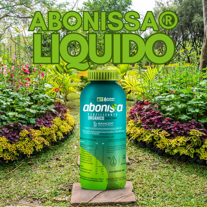 Abonissa® | Fertilizante Líquido Orgánico Premium 🌲🌳🌵