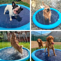 Piscina Plegable Para Perros Con Aspersor 💦🐶