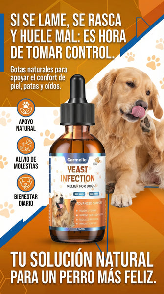 Gotas naturales para tratar la levadura en los perros Carmelie